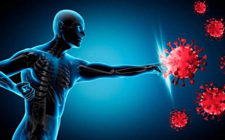 چۆن دەتوانین سیستەمی بەرگری جەستەمان بەهێز بکەین؟