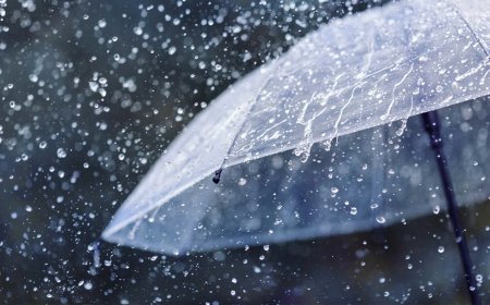 کەشناسی: لە زۆربەی ناوچەکان باران ده‌بارێت و خێرایی با چالاك ده‌بێت