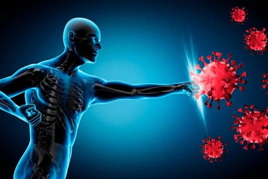 چۆن دەتوانین سیستەمی بەرگری جەستەمان بەهێز بکەین؟